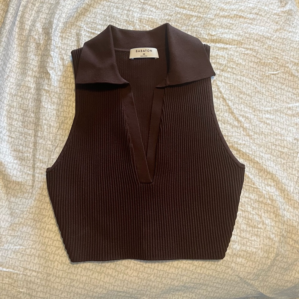 Aritzia Babaton Contour Top 🤎